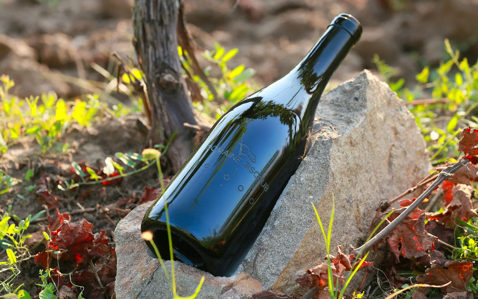 Domaine Eisgrub - Vinné sklepy Lednice