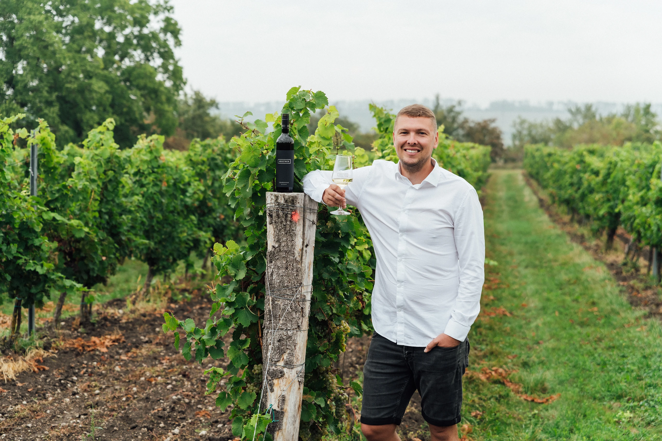 Vinařství Hrozínek